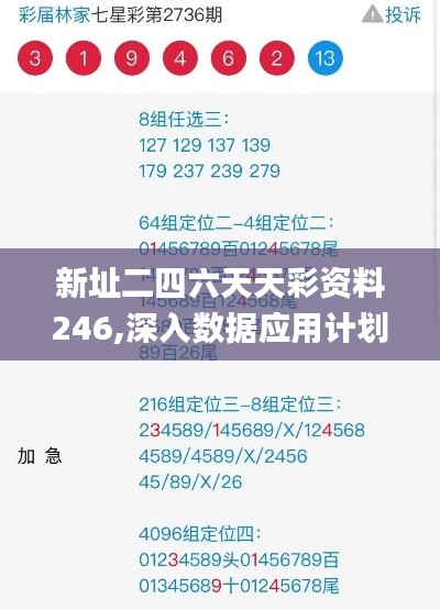 新址二四六天天彩资料246,深入数据应用计划_纪念版91.468-6