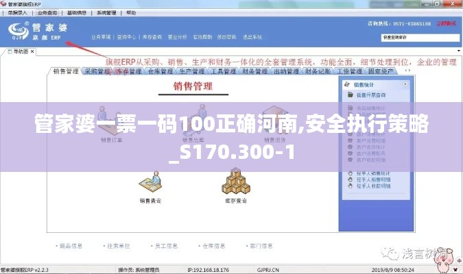 管家婆一票一码100正确河南,安全执行策略_S170.300-1