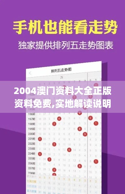 2004澳门资料大全正版资料免费,实地解读说明_KP42.323-2