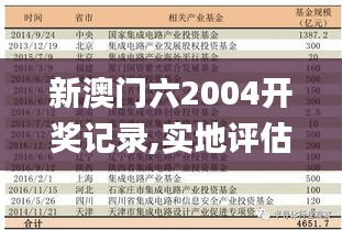 新澳门六2004开奖记录,实地评估数据方案_5DM32.595-1