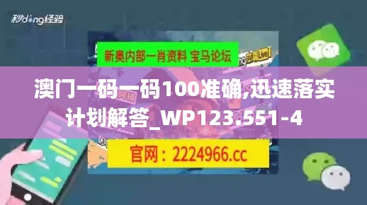 澳门一码一码100准确,迅速落实计划解答_WP123.551-4