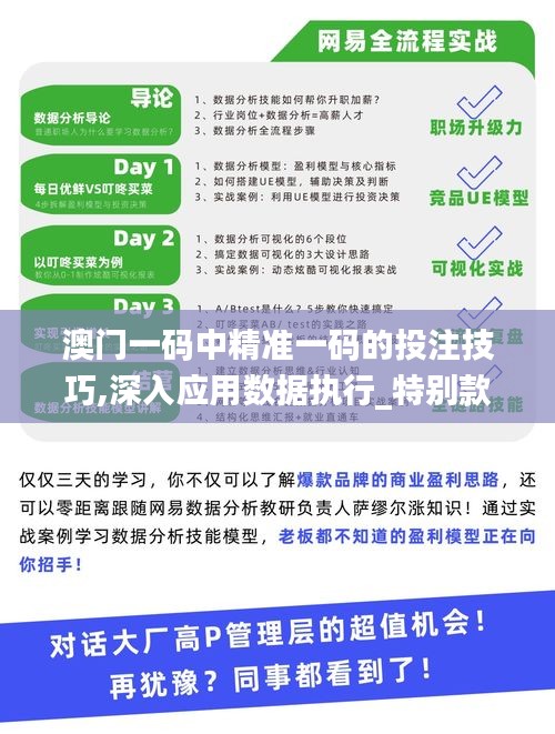 澳门一码中精准一码的投注技巧,深入应用数据执行_特别款41.175-5