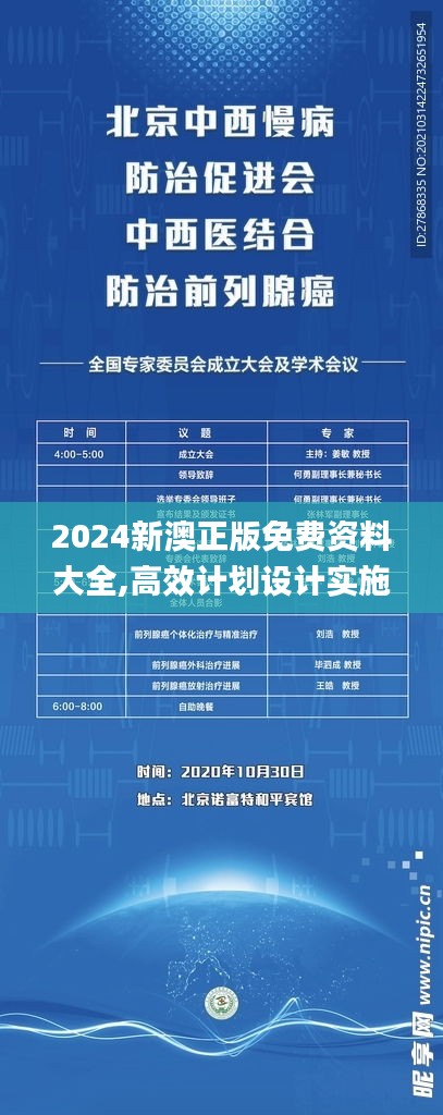 2024新澳正版免费资料大全,高效计划设计实施_SHD53.979-9