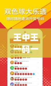 王中王一码一肖一特一中1,实效设计方案_移动版140.181-5