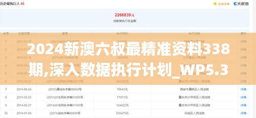 2024新澳六叔最精准资料338期,深入数据执行计划_WP5.355-3