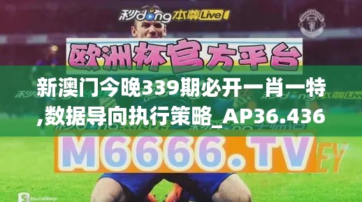 新澳门今晚339期必开一肖一特,数据导向执行策略_AP36.436-6
