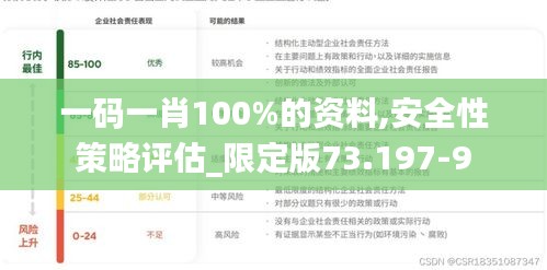 一码一肖100%的资料,安全性策略评估_限定版73.197-9
