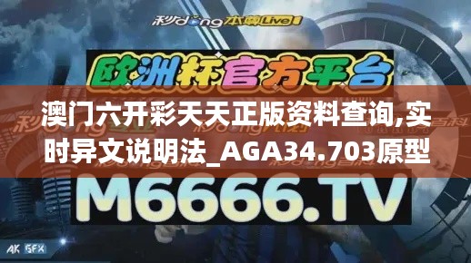澳门六开彩天天正版资料查询,实时异文说明法_AGA34.703原型版