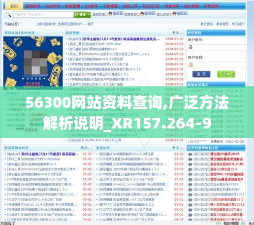 56300网站资料查询,广泛方法解析说明_XR157.264-9