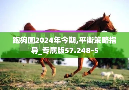 跑狗图2024年今期,平衡策略指导_专属版57.248-5