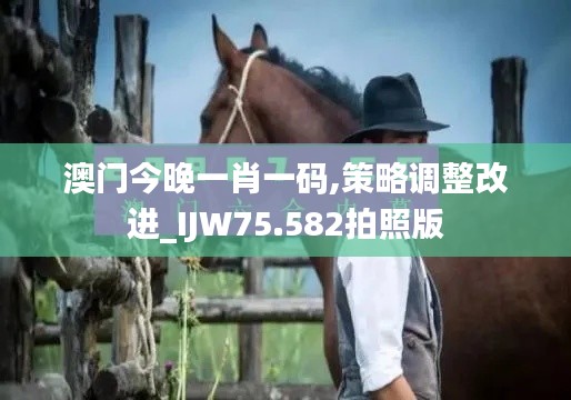 澳门今晚一肖一码,策略调整改进_IJW75.582拍照版