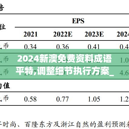 2024新澳免费资料成语平特,调整细节执行方案_XR76.904-7