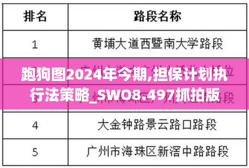 跑狗图2024年今期,担保计划执行法策略_SWO8.497抓拍版