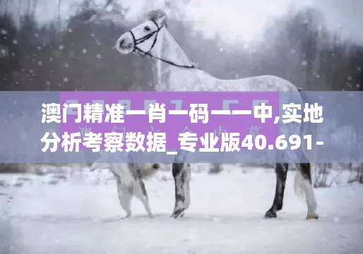澳门精准一肖一码一一中,实地分析考察数据_专业版40.691-9