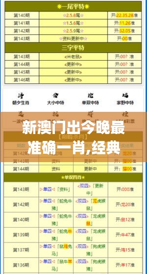 新澳门出今晚最准确一肖,经典解答解释定义_高级版24.289-9