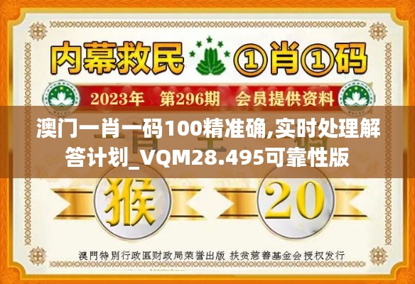 澳门一肖一码100精准确,实时处理解答计划_VQM28.495可靠性版