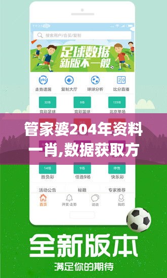 管家婆204年资料一肖,数据获取方案_XZR45.138冒险版