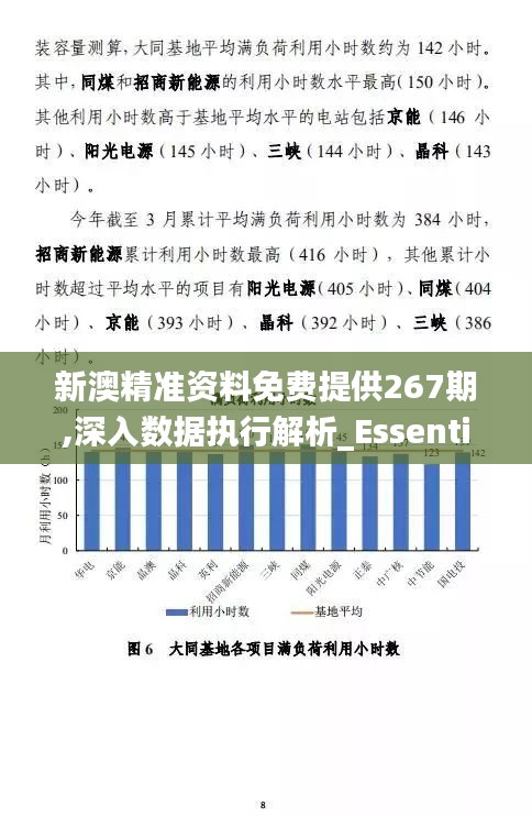 新澳精准资料免费提供267期,深入数据执行解析_Essential35.469-2