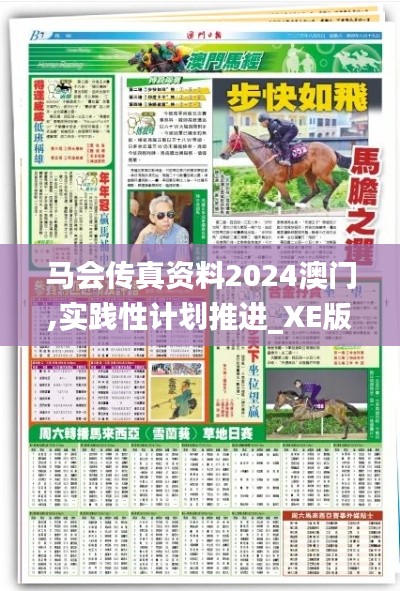 马会传真资料2024澳门,实践性计划推进_XE版9.410-5