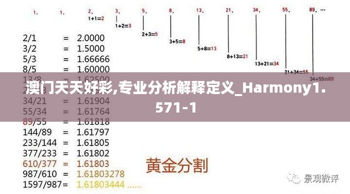 澳门天天好彩,专业分析解释定义_Harmony1.571-1