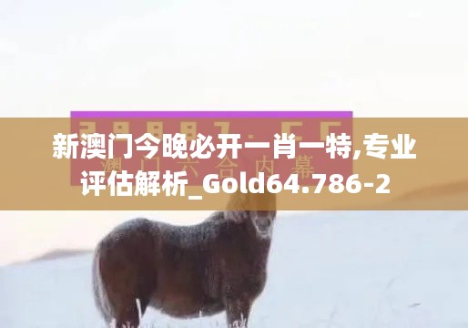 雍容华贵 第3页