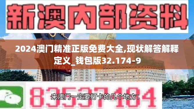 2024澳门精准正版免费大全,现状解答解释定义_钱包版32.174-9