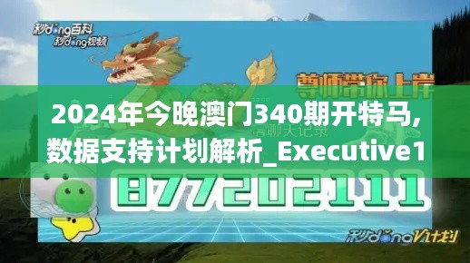 2024年今晚澳门340期开特马,数据支持计划解析_Executive110.531-8