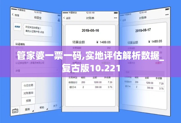 管家婆一票一码,实地评估解析数据_复古版10.221