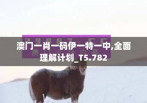 澳门一肖一码伊一特一中,全面理解计划_T5.782