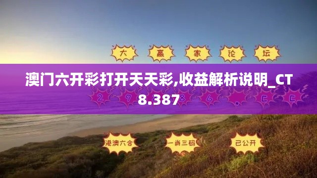 澳门六开彩打开天天彩,收益解析说明_CT8.387