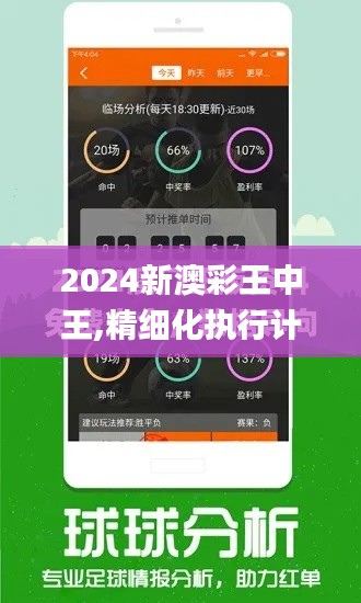 2024新澳彩王中王,精细化执行计划_4K版5.549