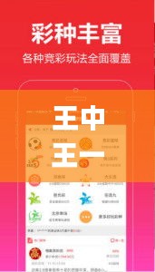 王中王一肖一特一中一,快速解答策略实施_4DM16.203