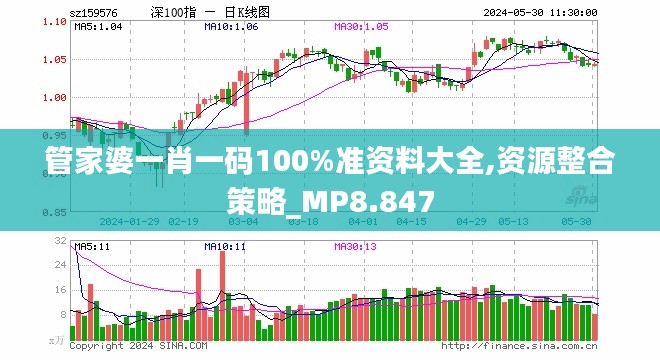 管家婆一肖一码100%准资料大全,资源整合策略_MP8.847