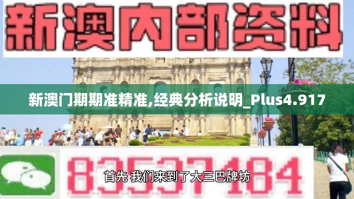 新澳门期期准精准,经典分析说明_Plus4.917