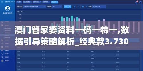 澳门管家婆资料一码一特一,数据引导策略解析_经典款3.730