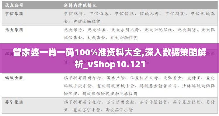 管家婆一肖一码100%准资料大全,深入数据策略解析_vShop10.121