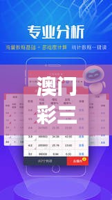 澳门彩三期必内必中一期,实地验证执行数据_影像版77.848-6