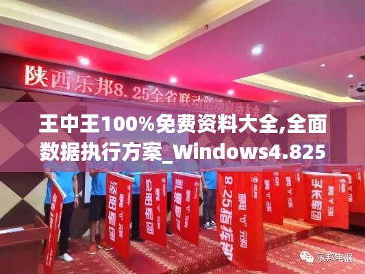 王中王100%免费资料大全,全面数据执行方案_Windows4.825-7