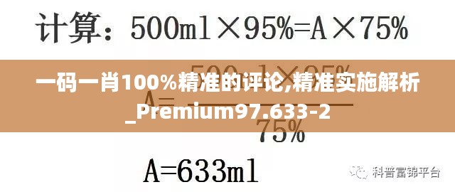 一码一肖100%精准的评论,精准实施解析_Premium97.633-2
