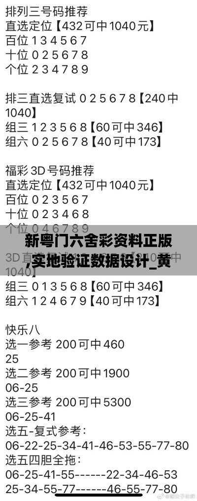 新粤门六舍彩资料正版,实地验证数据设计_黄金版77.281-1