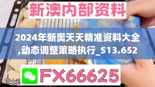 2024年新奥天天精准资料大全,动态调整策略执行_S13.652