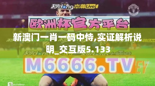 新澳门一肖一码中恃,实证解析说明_交互版5.133