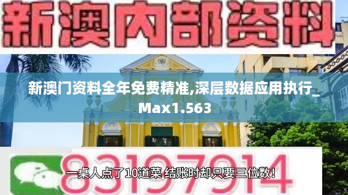 新澳门资料全年免费精准,深层数据应用执行_Max1.563