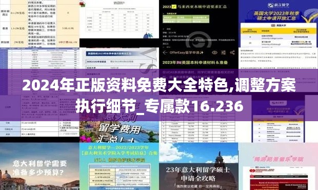 2024年正版资料免费大全特色,调整方案执行细节_专属款16.236