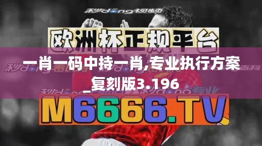一肖一码中持一肖,专业执行方案_复刻版3.196