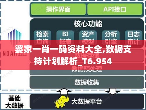 婆家一肖一码资料大全,数据支持计划解析_T6.954