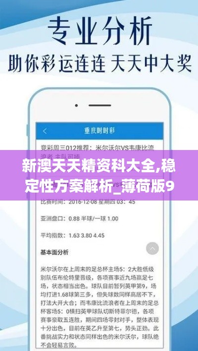 新澳天天精资科大全,稳定性方案解析_薄荷版9.380