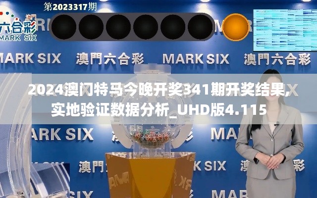 2024澳门特马今晚开奖341期开奖结果,实地验证数据分析_UHD版4.115