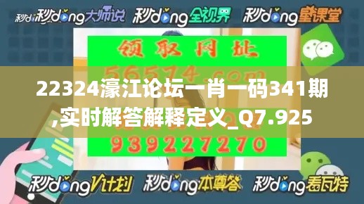 22324濠江论坛一肖一码341期,实时解答解释定义_Q7.925