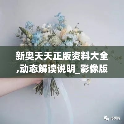 新奥天天正版资料大全,动态解读说明_影像版1.105
